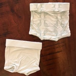 Kate Quinn Organics Bamboo Bloomers Duo